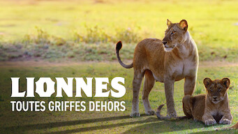 Lionnes : Toutes griffes dehors (2016)