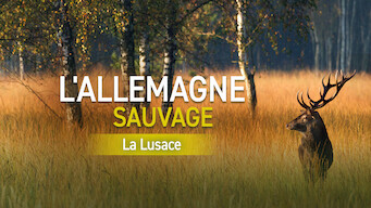 L'Allemagne sauvage : La Lusace (2013)