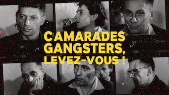 Camarades gangsters, levez-vous ! (2004)